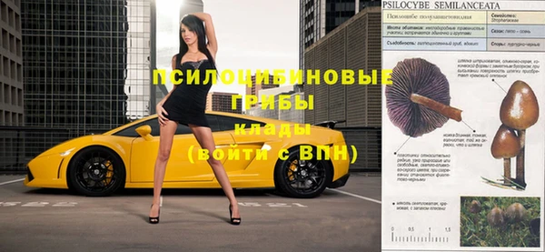 apvp Сафоново