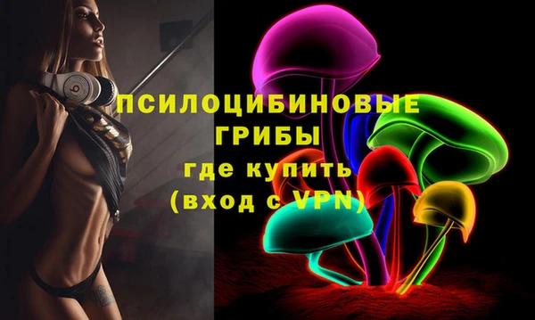 PSILOCYBIN Абаза