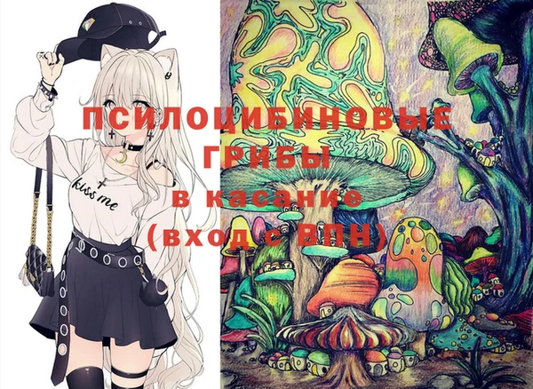 PSILOCYBIN Абаза