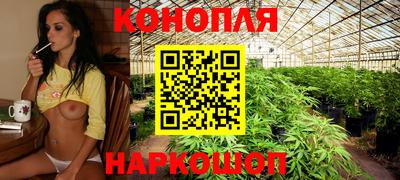 a pvp Моздок