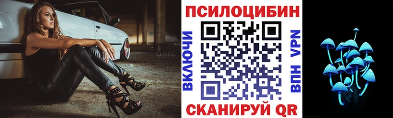 Псилоцибиновые грибы мицелий  Кизляр 