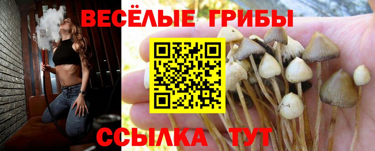 Гашиш  ЭКСТАЗИ  LSD-25  Бошки Шишки  Меф МЯУ МЯУ кристаллы  Вход с VPN  Бошки Шишки  Кокаин  Кизляр  ГАШИШ  A PVP СОЛЬ кристаллы 