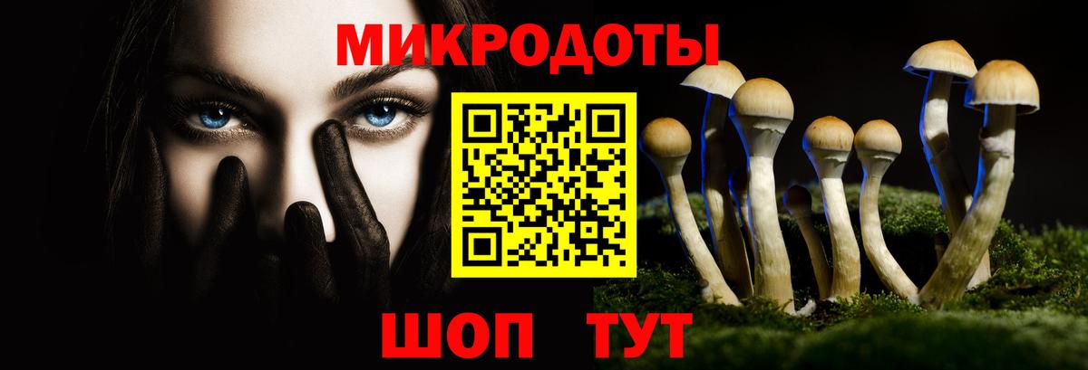 Кизляр  Галлюциногенные грибы Psilocybine cubensis  Вход с VPN 