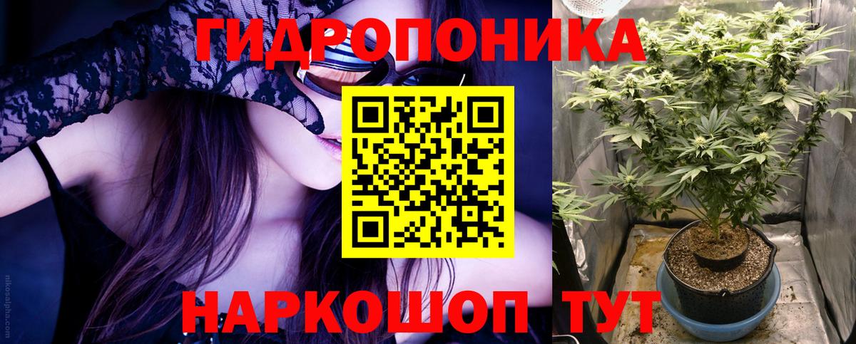 Шишки марихуана SATIVA & INDICA  Конопля план  Вход с VPN  Бошки марихуана LSD WEED  Бошки Шишки LSD WEED  Кизляр 